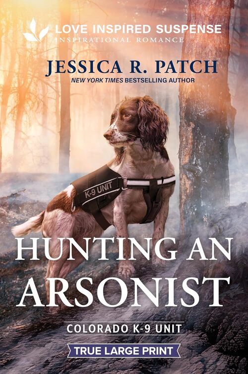 Hunting an Arsonist