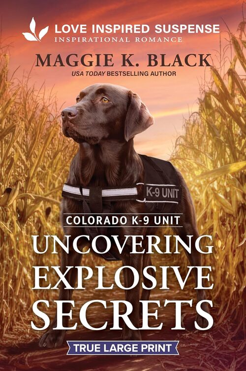 Uncovering Explosive Secrets