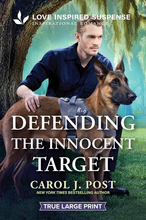 Defending the Innocent Target by Carol J. Post