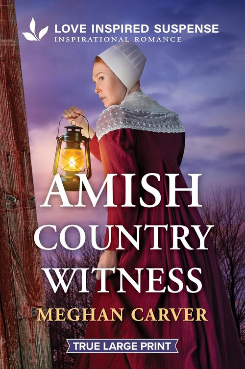 Amish Country Witness