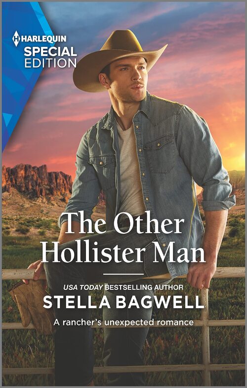 The Other Hollister Man by Stella Bagwell
