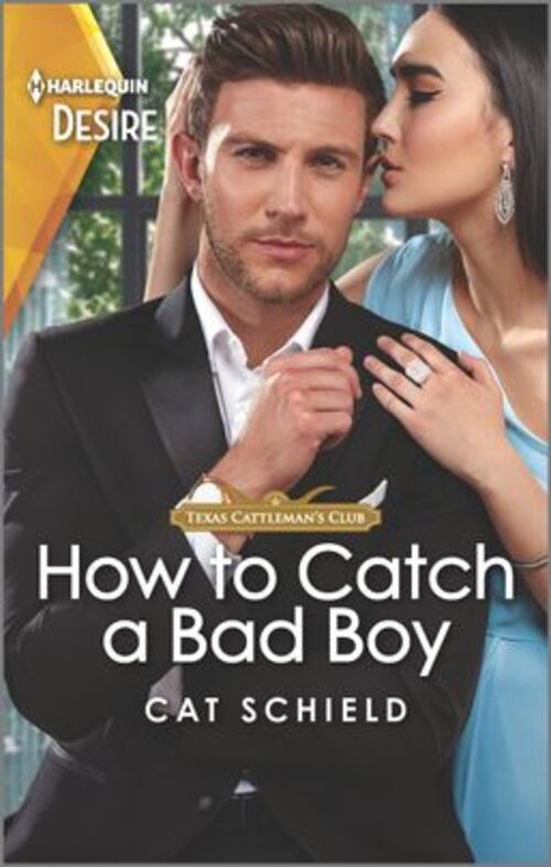 How to Catch a Bad Boy by Cat Schield