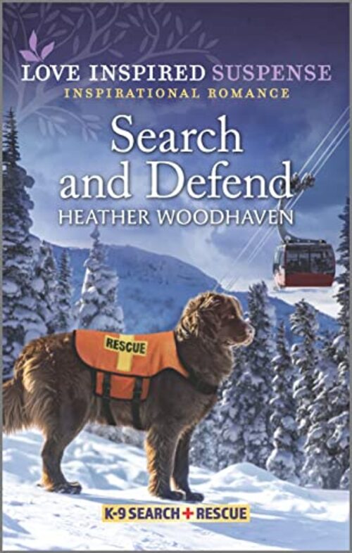 Search and Defend by Heather Woodhaven