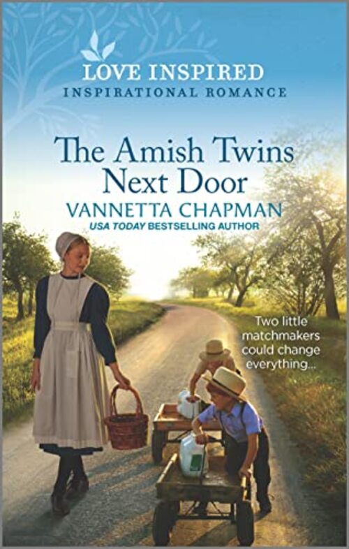 The Amish Twins Next Door by Vannetta Chapman