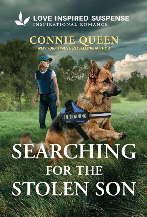 Searching for the Stolen Son by Connie Queen