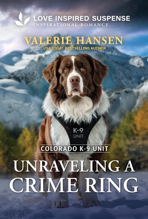Unraveling a Crime Ring by Valerie Hansen