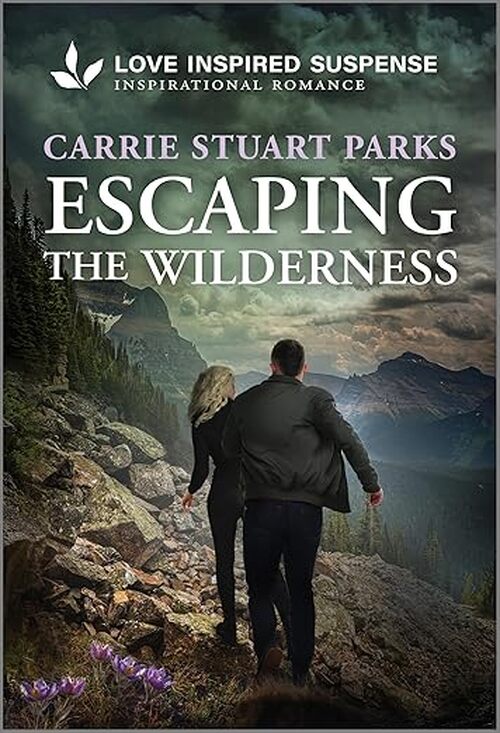 Escaping the Wilderness