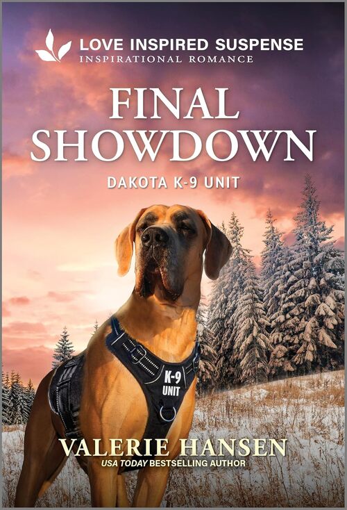 Final Showdown by Valerie Hansen