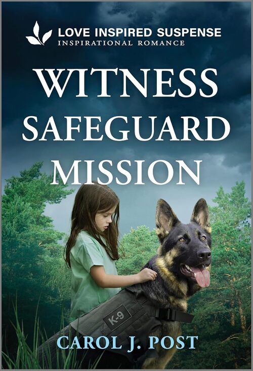 Witness Safeguard Mission by Carol J. Post
