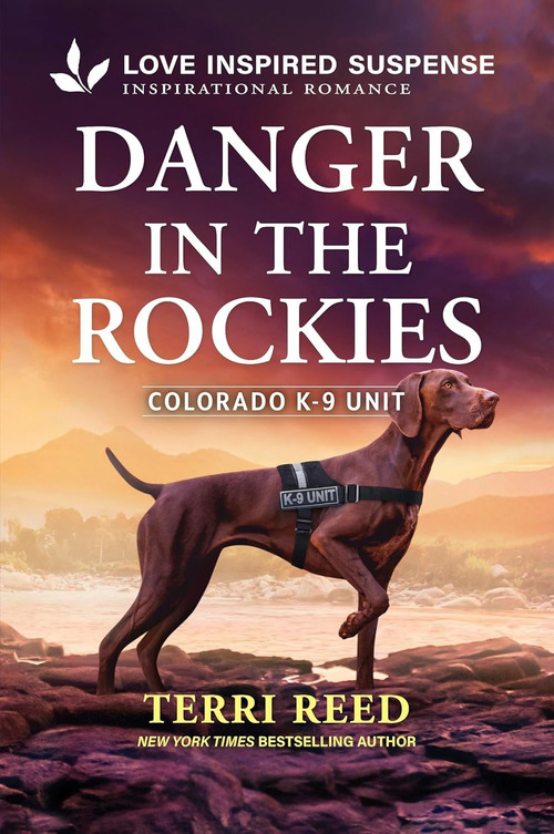 Danger in the Rockies by Terri Reed