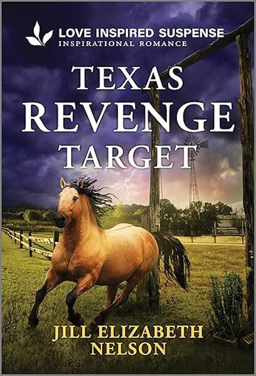 Texas Revenge Target by Jill Elizabeth Nelson