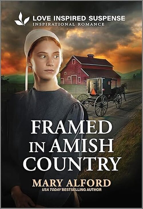 Framed in Amish Country by Mary Alford