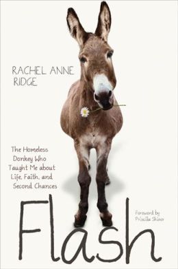 Flash: The Homeless Donkey Who Taught Me about Life, Faith, and Second Chances by Rachel Anne Ridge