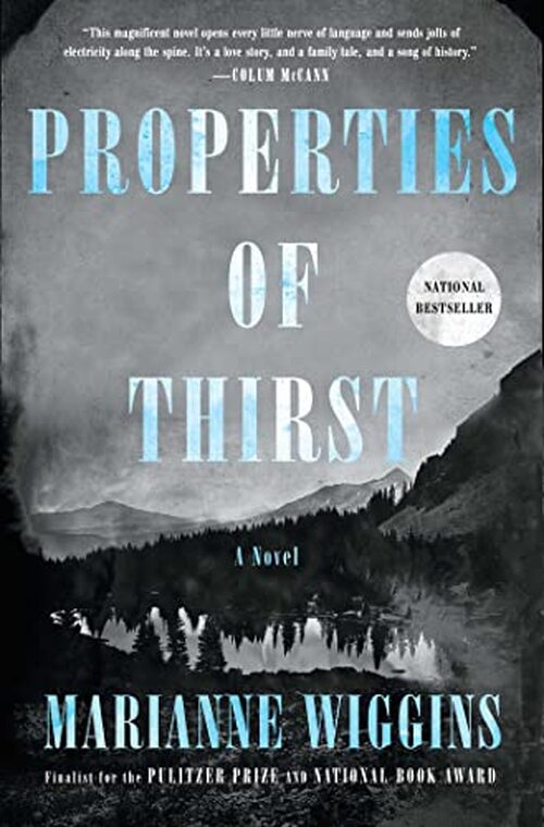 Properties of Thirst by Marianne Wiggins