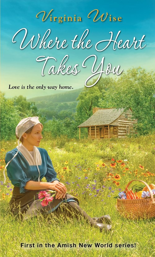 Where the Heart Takes You by Virginia Wise