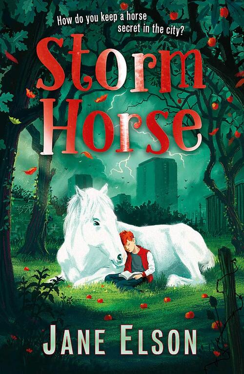 Storm Horse by Jane Elson