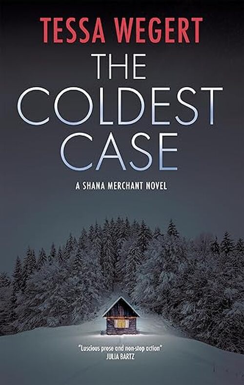 The Coldest Case by Tessa Wegert