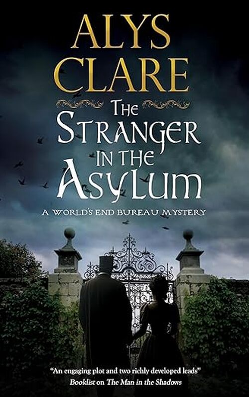 The Stranger in the Asylum by Alys Clare