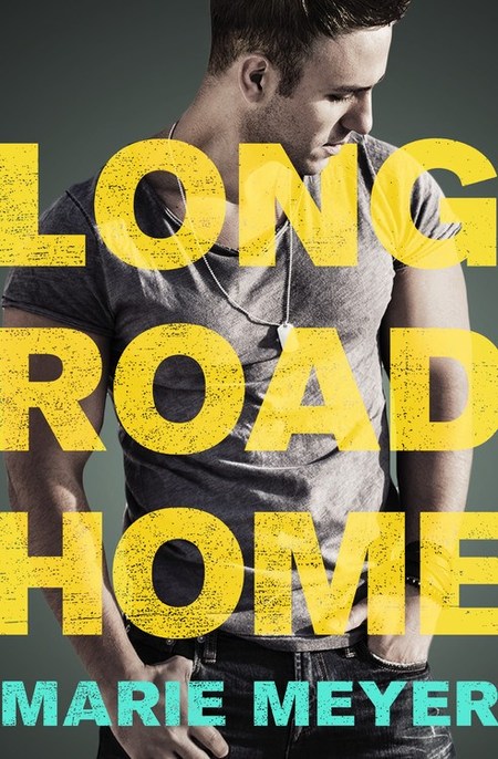 Long Road Home by Marie Meyer