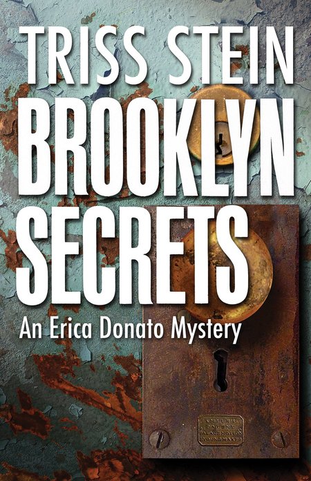 Brooklyn Secrets by Triss Stein