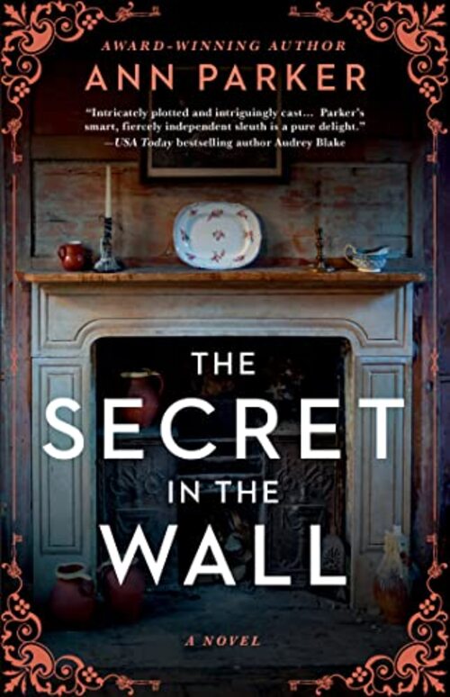 The Secret in the Wall by Ann Parker