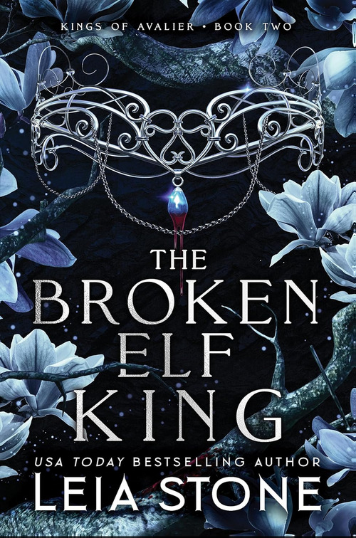 The Broken Elf King by Leia Stone