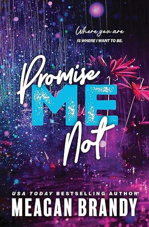 Promise Me Not by Meagan Brandy