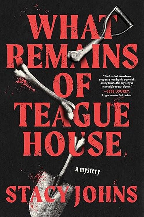 What Remains of Teague House by Stacy Johns