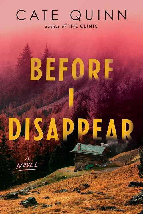 Before I Disappear by Cate Quinn