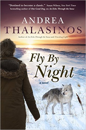 Fly By Night by Andrea Thalasinos
