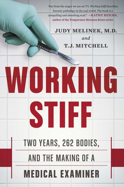Working Stiff by T.J. Mitchell