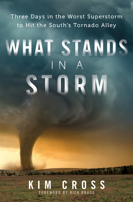 What Stands in a Storm by Kim Cross
