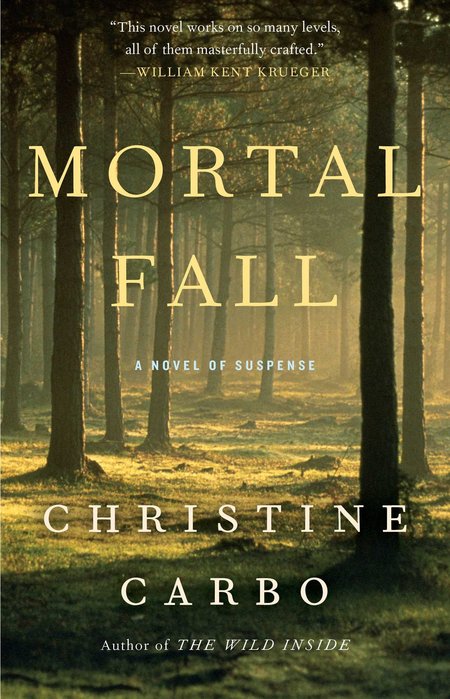 Mortal Fall by Christine Carbo