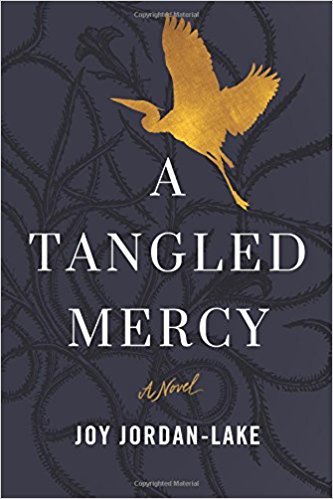 A Tangled Mercy by Joy Jordan-Lake