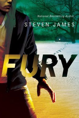 Fury by Steven James
