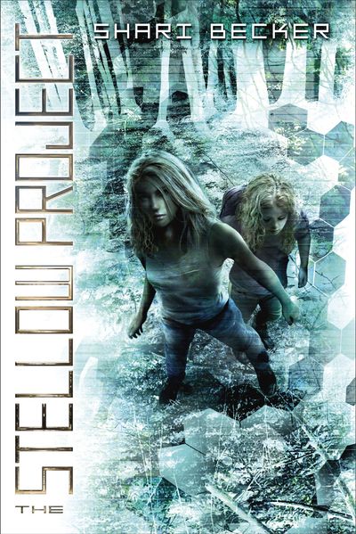 The Stellow Project by Shari Becker