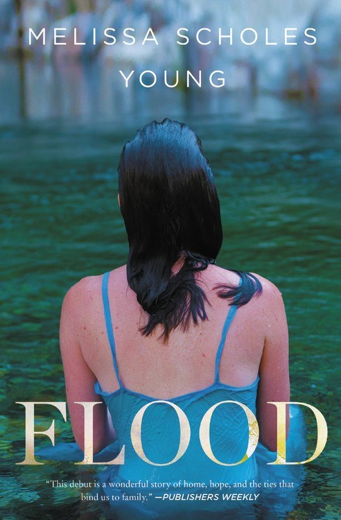 Flood by Melissa Scholes Young