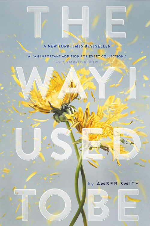 The Way I Used to Be by Amber Smith