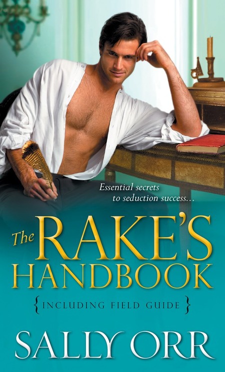 The Rake's Handbook by Sally Orr