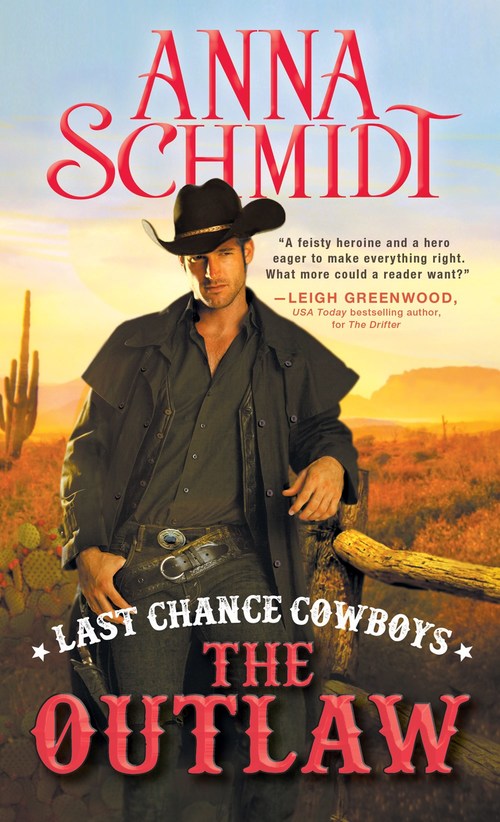 Last Chance Cowboys: The Outlaw by Anna Schmidt