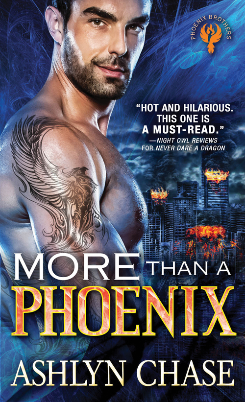 More Than a Phoenix by Ashlyn Chase