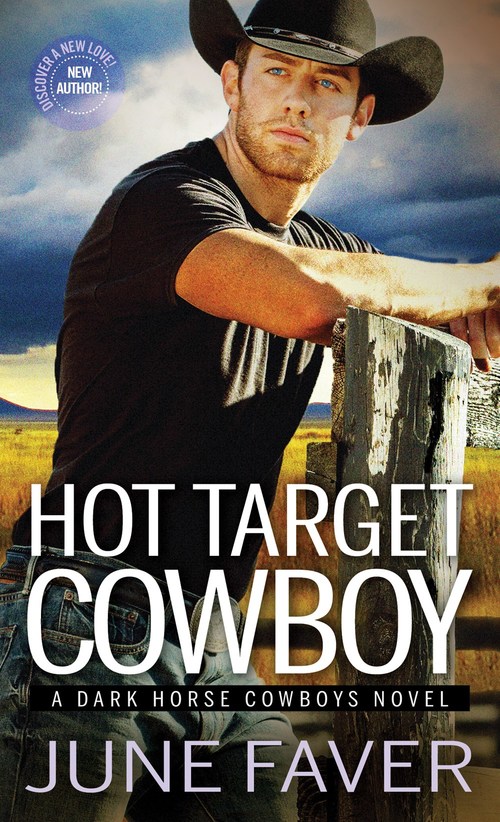 Hot Target Cowboy by June Faver