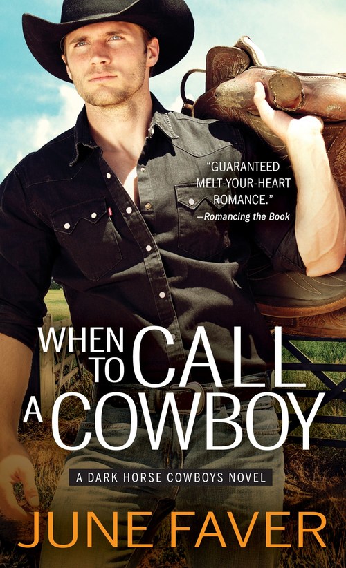 When to Call a Cowboy by June Faver