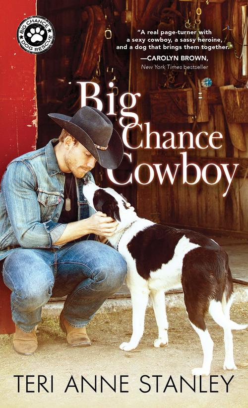 Big Chance Cowboy by Teri Anne Stanley
