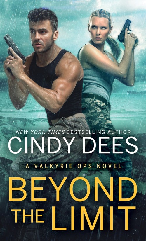 Beyond the Limit by Cindy Dees