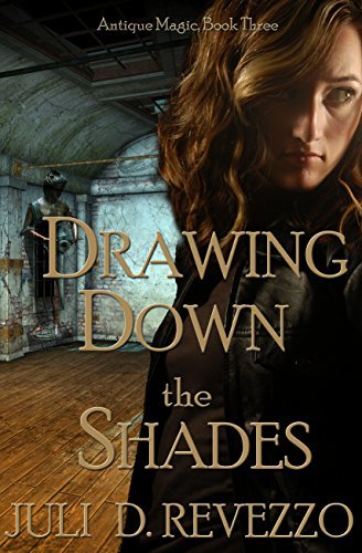 Drawing Down the Shades by Juli D. Revezzo