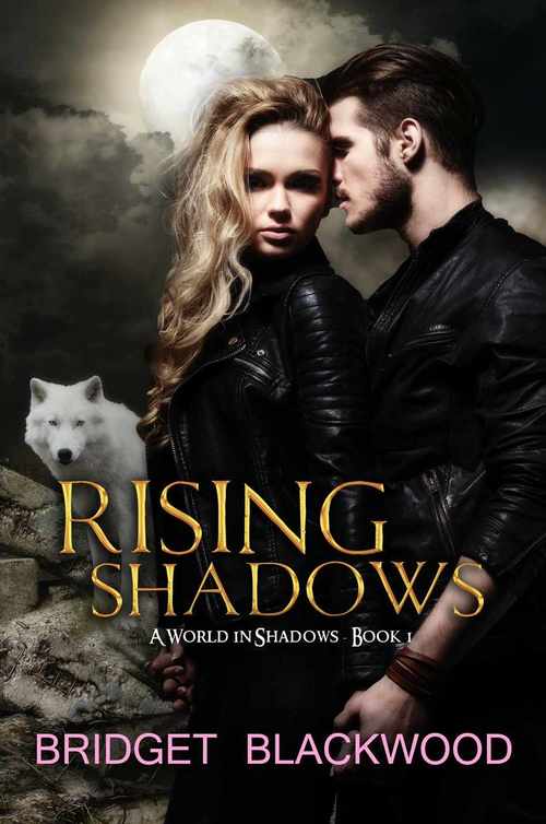 Rising Shadows by Bridget Blackwood