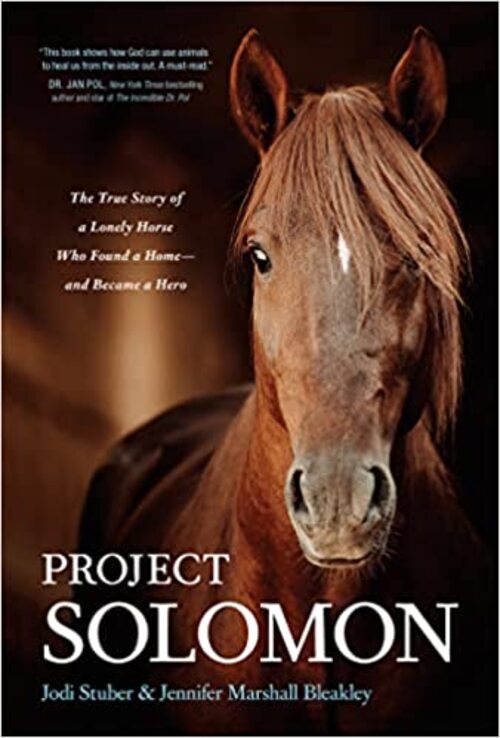Project Solomon by Jodi Stuber