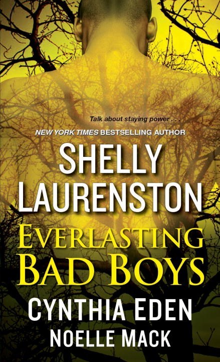 Everlasting Bad Boys by Shelly Laurenston