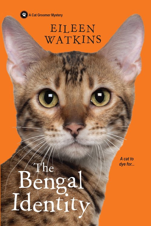 The Bengal Identity by Eileen Watkins